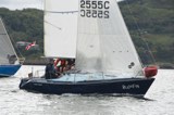 bluefin 2555c whyw24 sun 800 4944